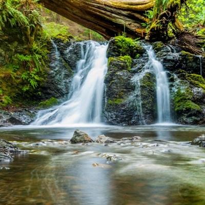 AOA体育手机app下载