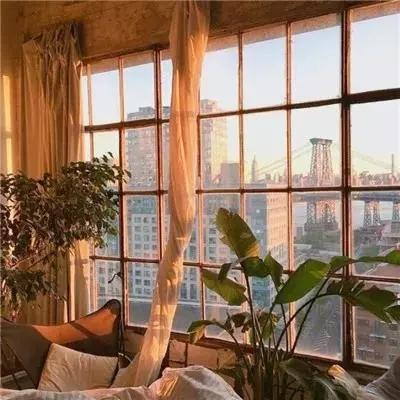 AOA体育手机app下载