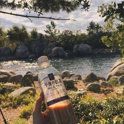 leyu乐鱼手机app下载