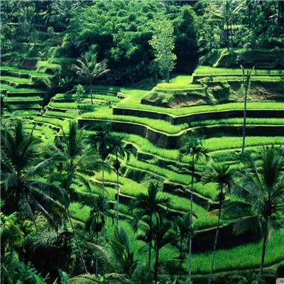 合乐888手机app下载