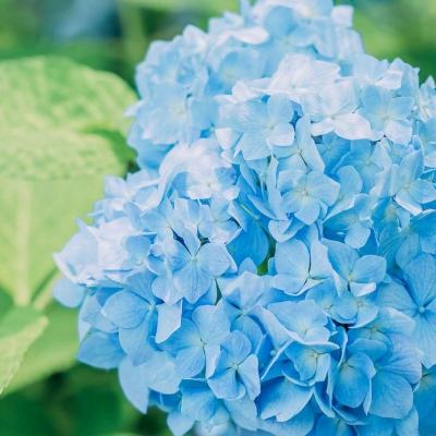 手机最快开奖结果