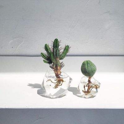 火狐体育下载app下载手机版