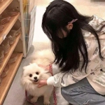 AOA体育手机app下载